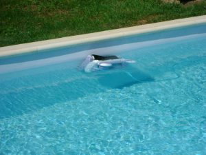 piscines béton corse